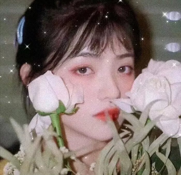 一个人的生命